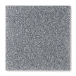 Canal Plastics Center Silver Glitter Acrylic Plexiglass Sheet, Swatch View - Urban Spark Collection for crafts, signage, displays, and even furniture accents