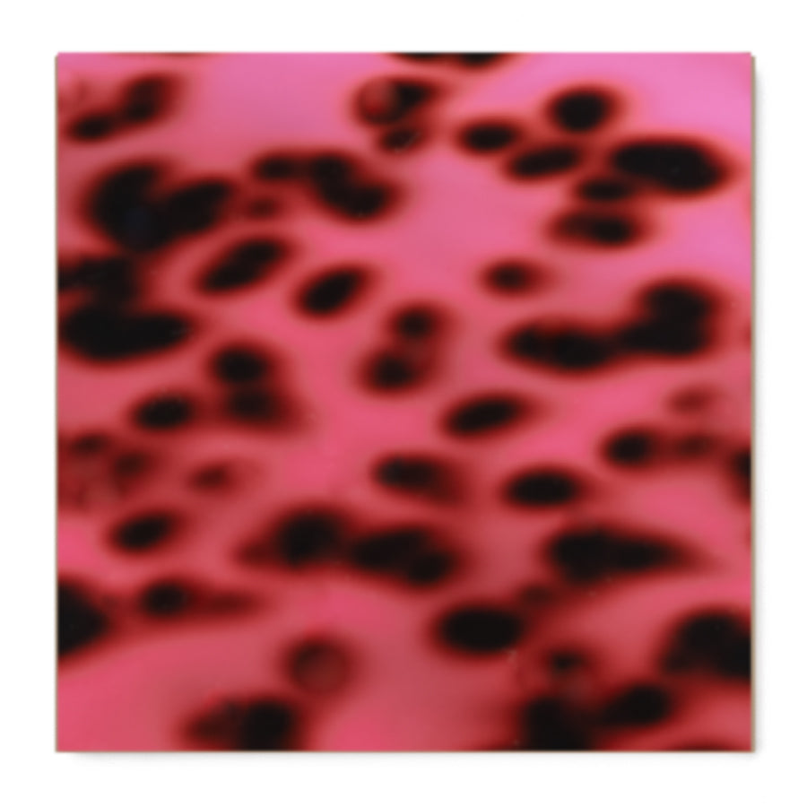 Ocelot Pink Acrylic Sheet