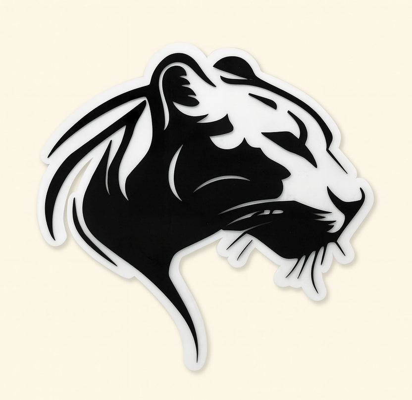 Red Translucent Acrylic Sheet